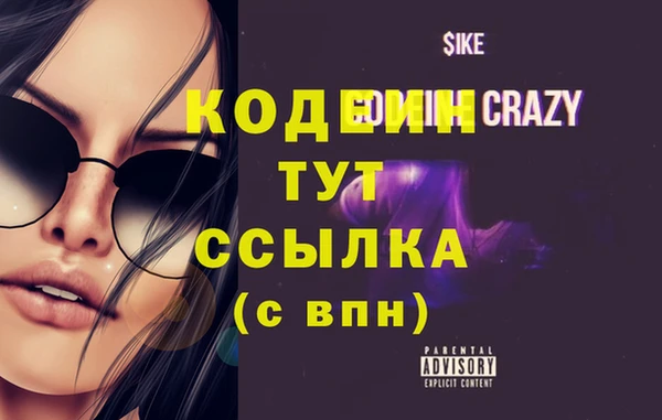 индика Покачи
