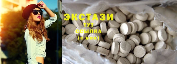 гашик Алексин
