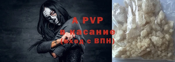 индика Покачи