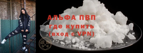 гашик Алексин