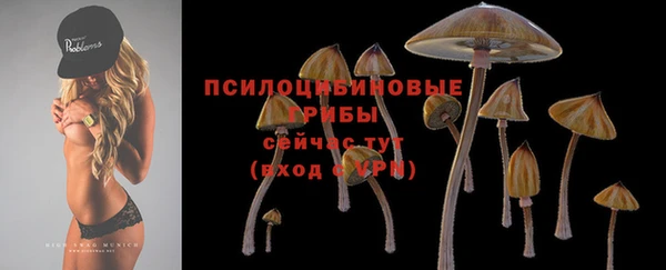 спиды Алексеевка