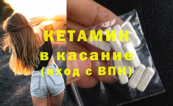 гашик Алексин